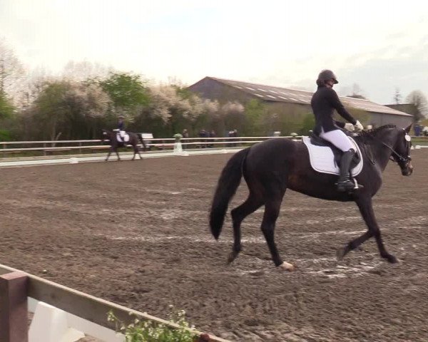 Reitturnier Kleinsolt 2023