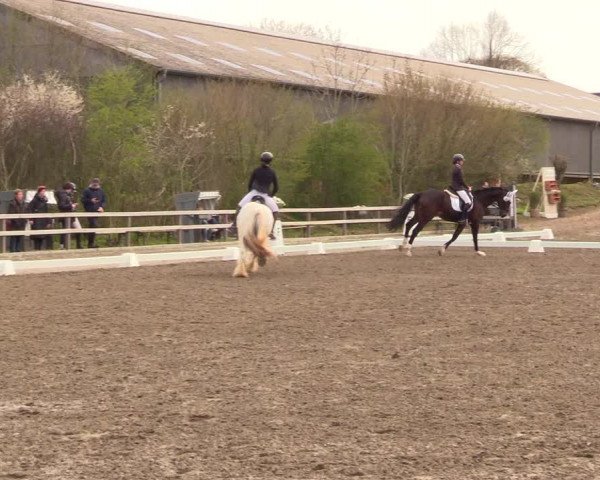 Reitturnier Kleinsolt 2023