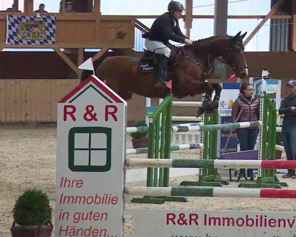 Reitturnier Grafenrheinfeld/Ufr. 2021