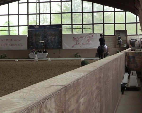 Reitturnier Kamen 2023