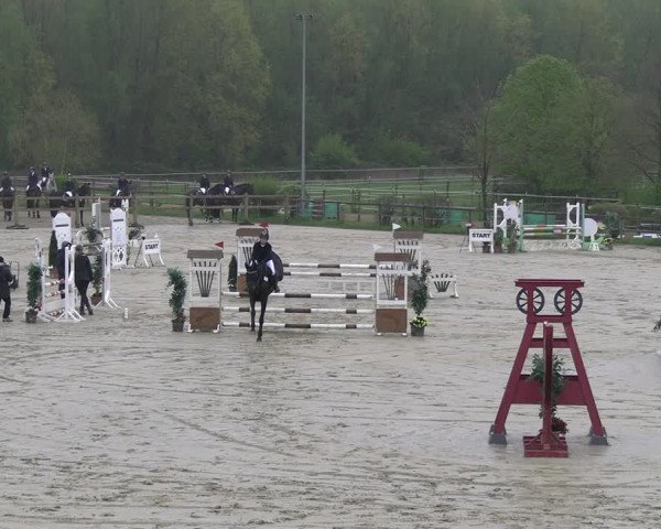 Reitturnier Kamen 2023