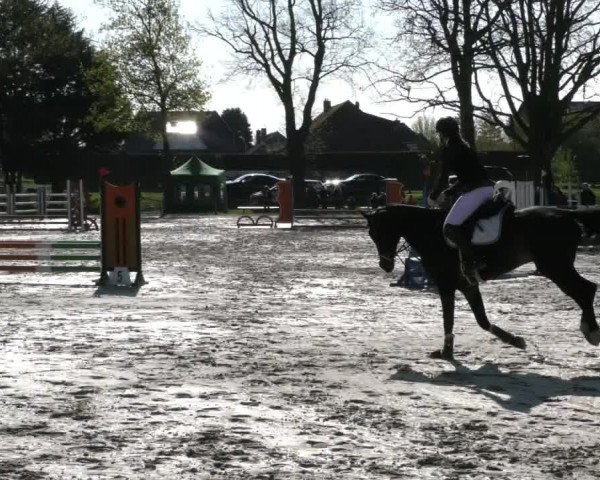 Reitturnier Handorf 2023