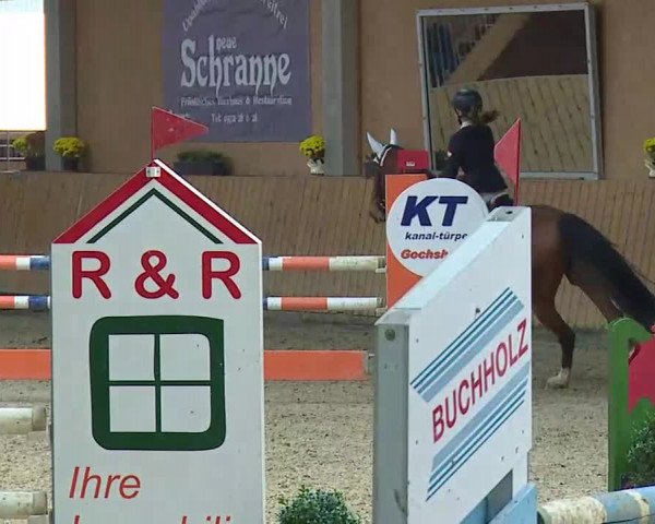 Reitturnier Grafenrheinfeld/Ufr. 2021
