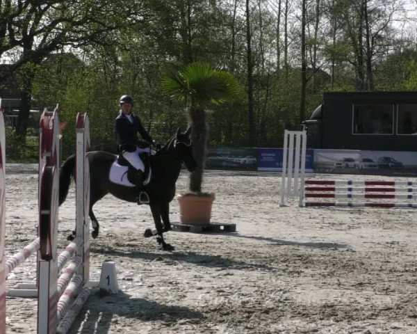 Reitturnier Handorf 2023