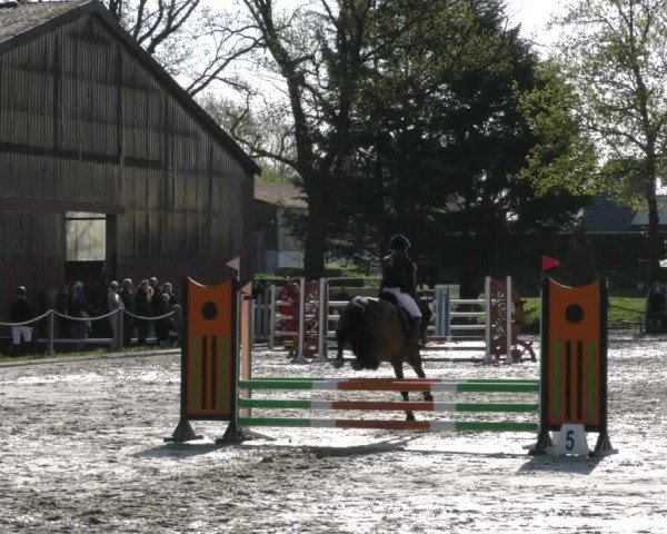 Reitturnier Handorf 2023