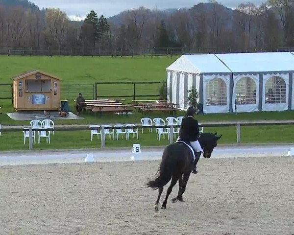 Reitturnier Gut Bohmerhof/Obb. 2023