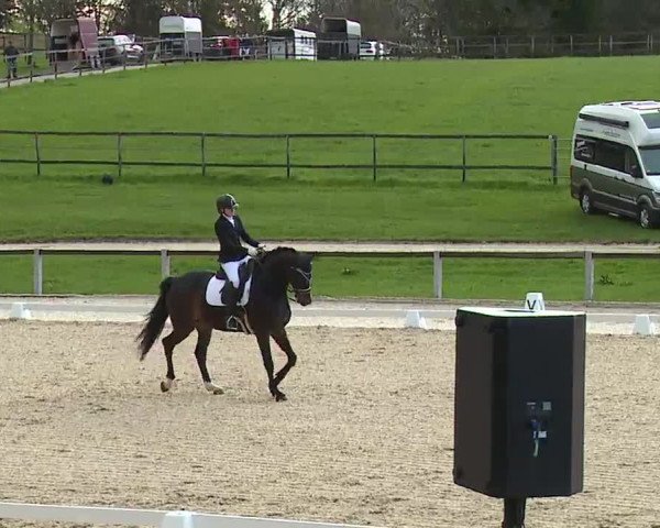 Reitturnier Gut Bohmerhof/Obb. 2023