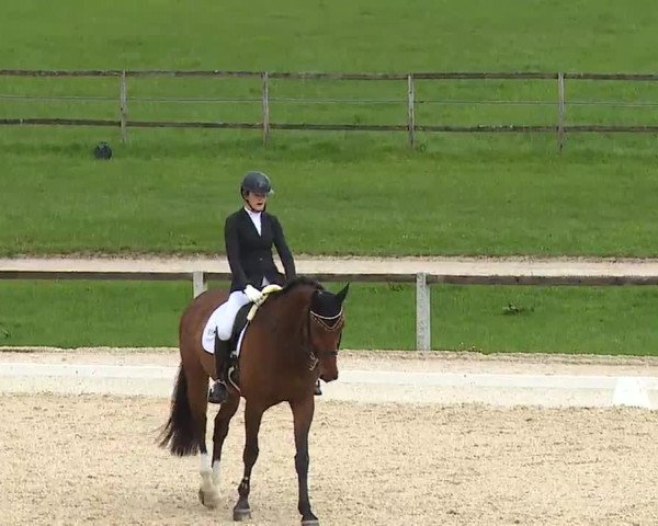 Reitturnier Gut Bohmerhof/Obb. 2023