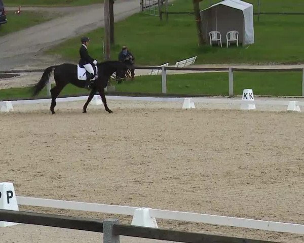 Reitturnier Gut Bohmerhof/Obb. 2023