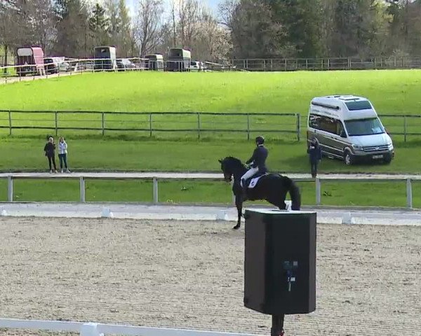 Reitturnier Gut Bohmerhof/Obb. 2023