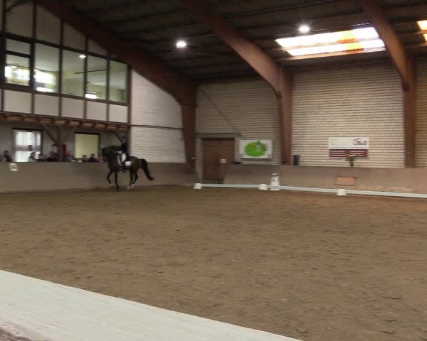 Reitturnier Kamen 2023