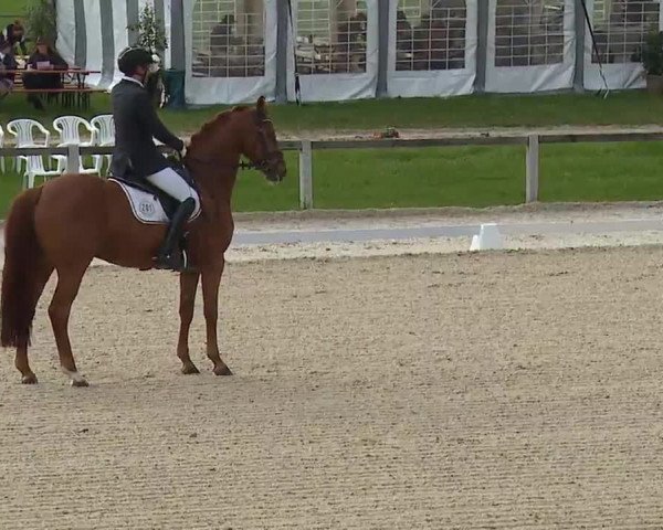Reitturnier Gut Bohmerhof/Obb. 2023
