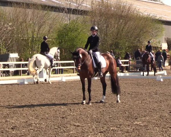 Reitturnier Kleinsolt 2023