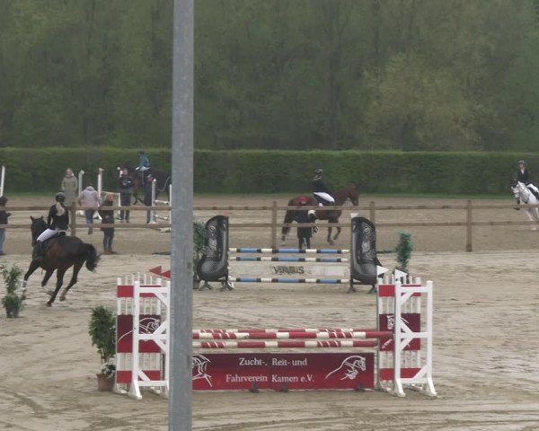 Reitturnier Kamen 2023