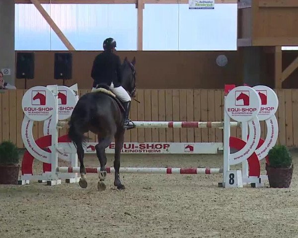 Reitturnier Grafenrheinfeld/Ufr. 2021