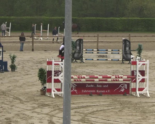 Reitturnier Kamen 2023
