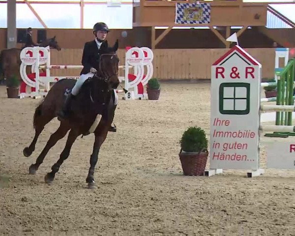 Reitturnier Grafenrheinfeld/Ufr. 2021