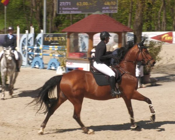 Reitturnier Karlsfeld 2023