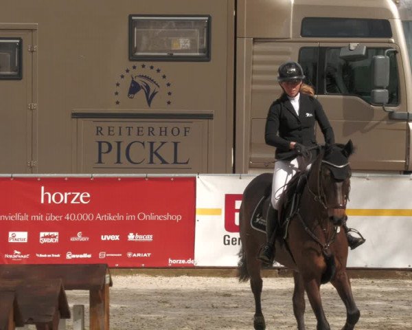 Reitturnier Karlsfeld 2023