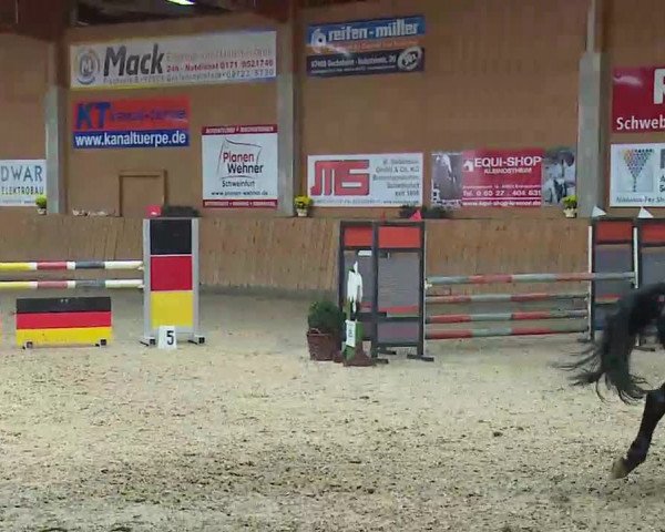 Reitturnier Grafenrheinfeld/Ufr. 2021