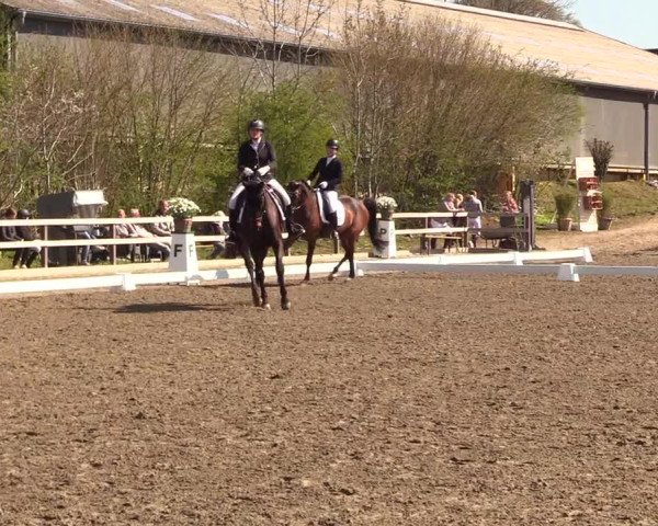 Reitturnier Kleinsolt 2023