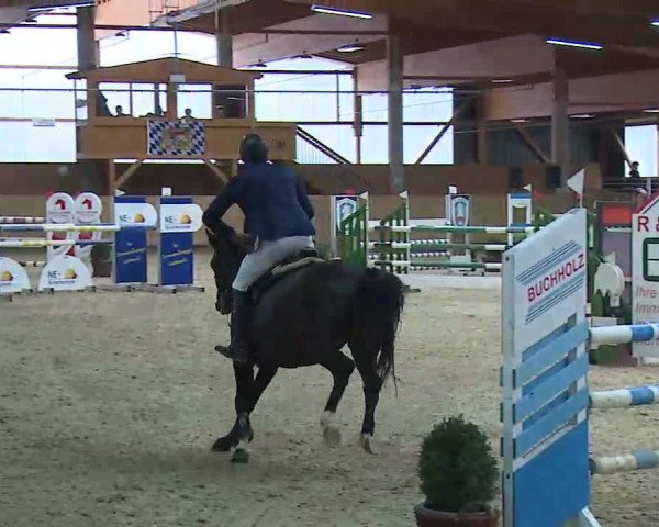 Reitturnier Grafenrheinfeld/Ufr. 2021