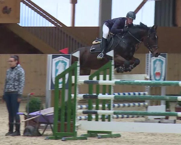 Reitturnier Grafenrheinfeld/Ufr. 2021
