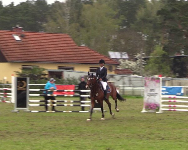 Reitturnier Colbitz 2023