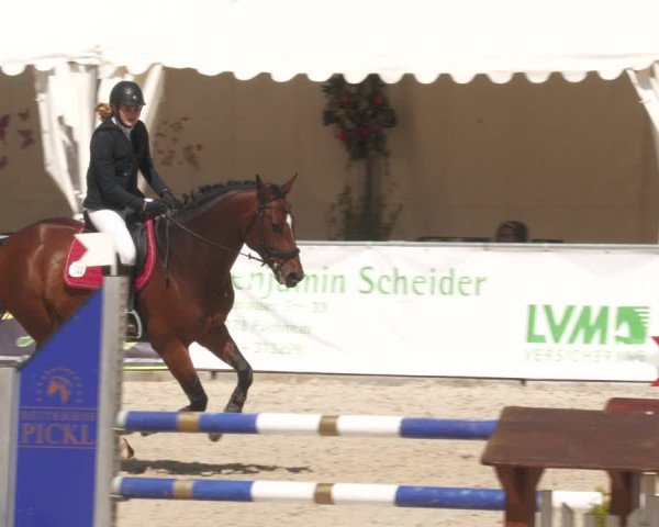 Reitturnier Karlsfeld 2023