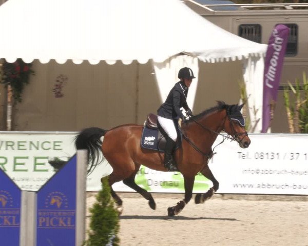 Reitturnier Karlsfeld 2023