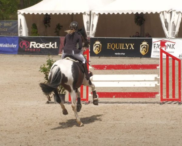 Reitturnier Karlsfeld 2023