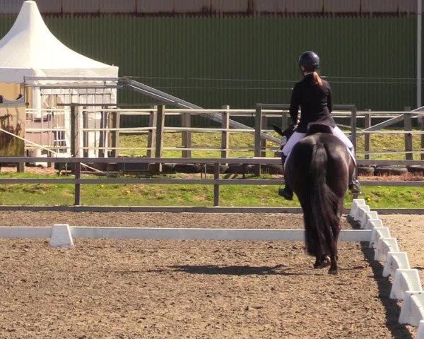 Reitturnier Kleinsolt 2023