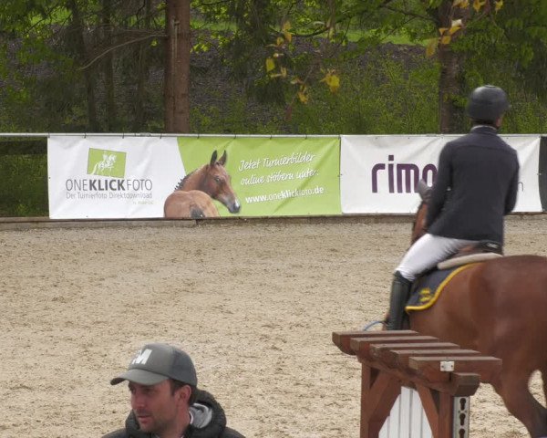 Reitturnier Karlsfeld 2023