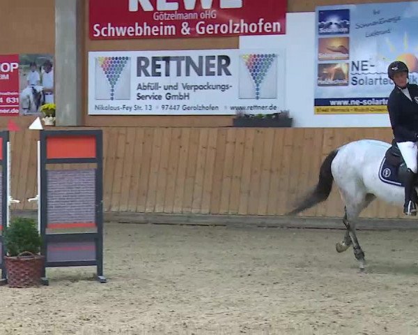 Reitturnier Grafenrheinfeld/Ufr. 2021