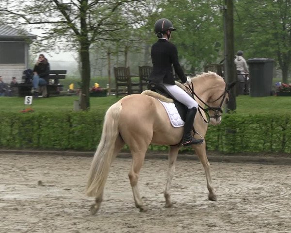 Reitturnier Olfen-Vinnum 2023