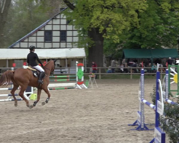 Reitturnier Hildesheim-Steuerwald 2023
