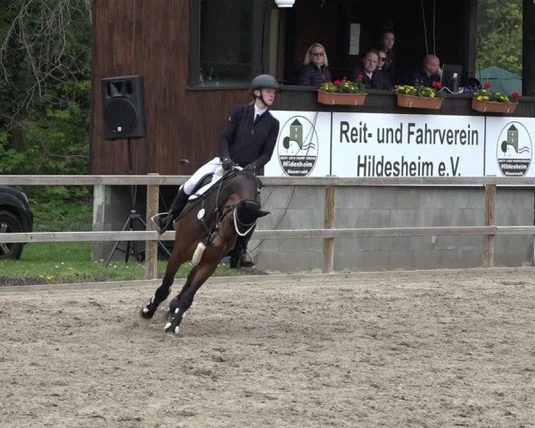Reitturnier Hildesheim-Steuerwald 2023