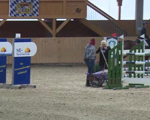 Reitturnier Grafenrheinfeld/Ufr. 2021