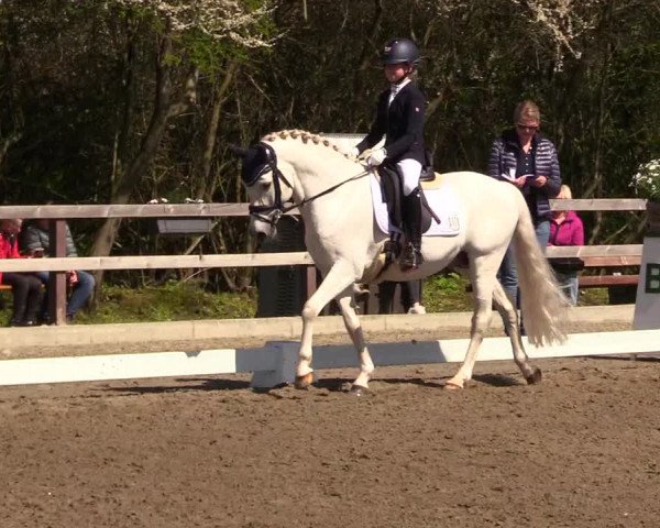Reitturnier Kleinsolt 2023