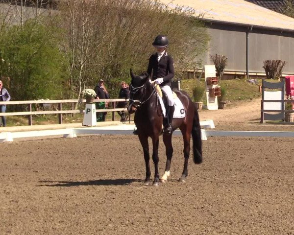 Reitturnier Kleinsolt 2023