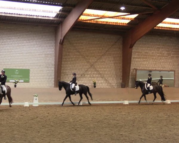 Reitturnier Kamen 2023