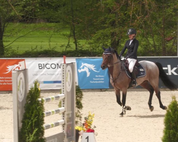 Reitturnier Karlsfeld 2023