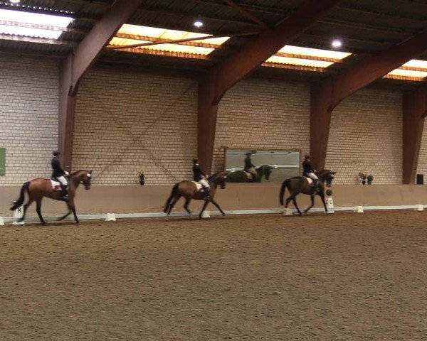 Reitturnier Kamen 2023