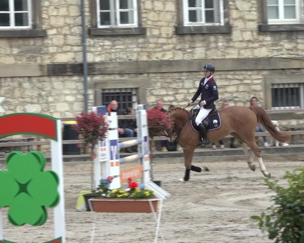 Reitturnier Hildesheim-Steuerwald 2023