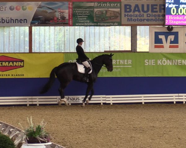 Dressurturnier Isterberg 2021