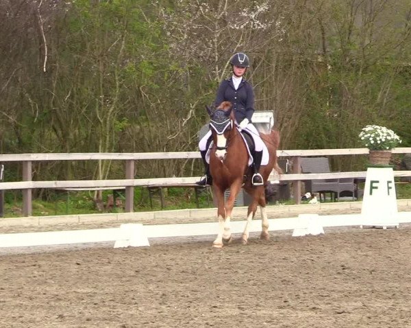 Reitturnier Kleinsolt 2023