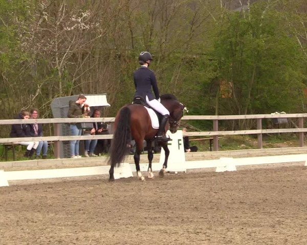 Reitturnier Kleinsolt 2023