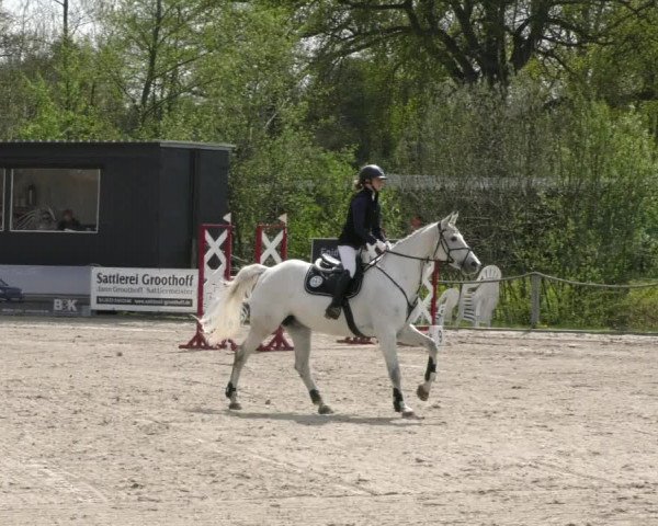Reitturnier Handorf 2023