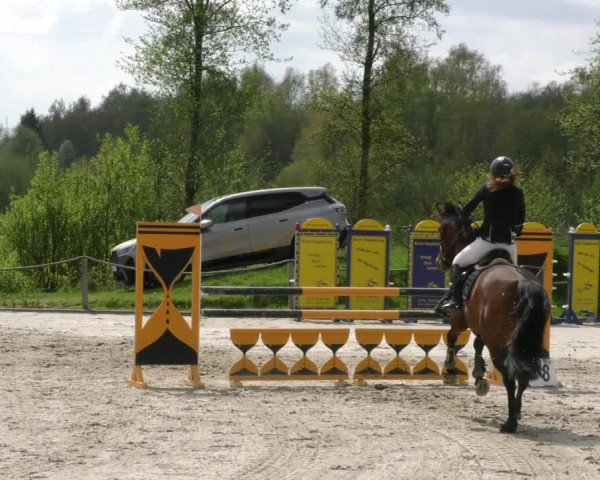 Reitturnier Handorf 2023