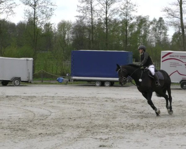 Reitturnier Handorf 2023